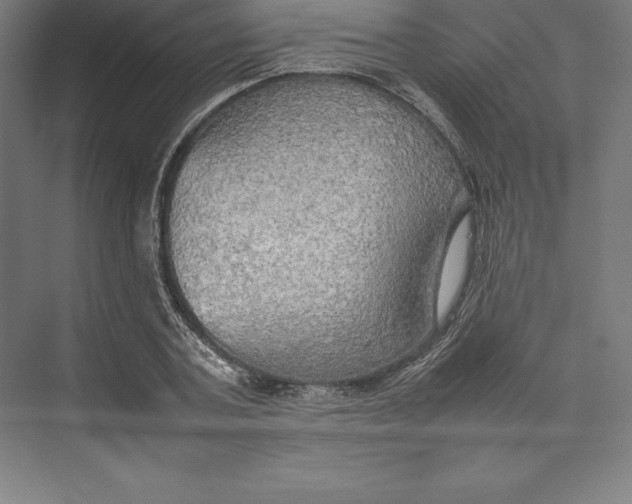 X0000074930787200609221638