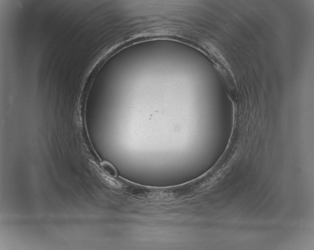 X0000074930789200609221638