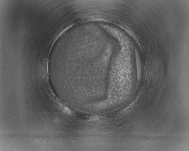 X0000074930790200609221638