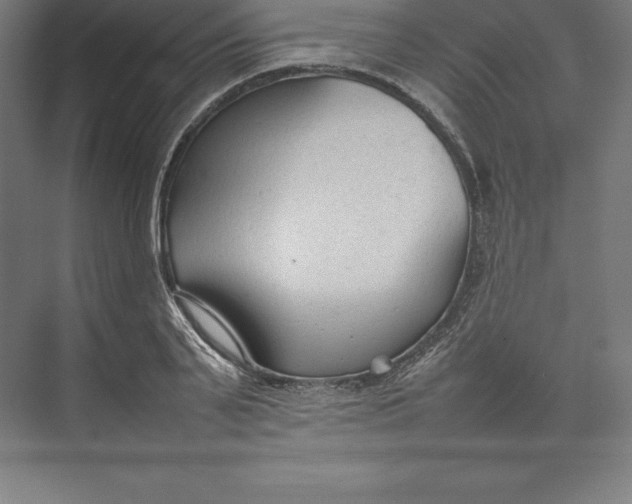 X0000074930791200609221638