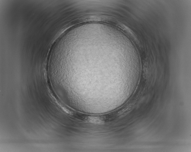 X0000074930794200609221638