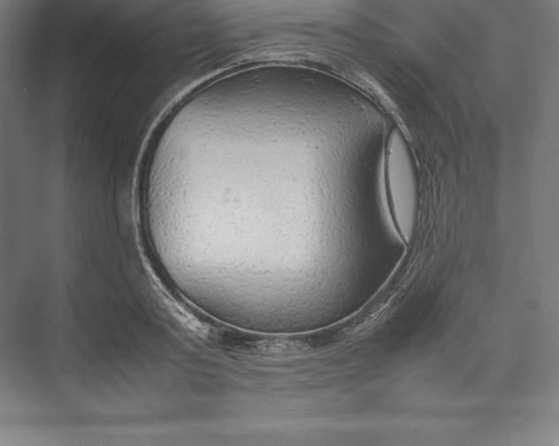 X0000074930795200609221637