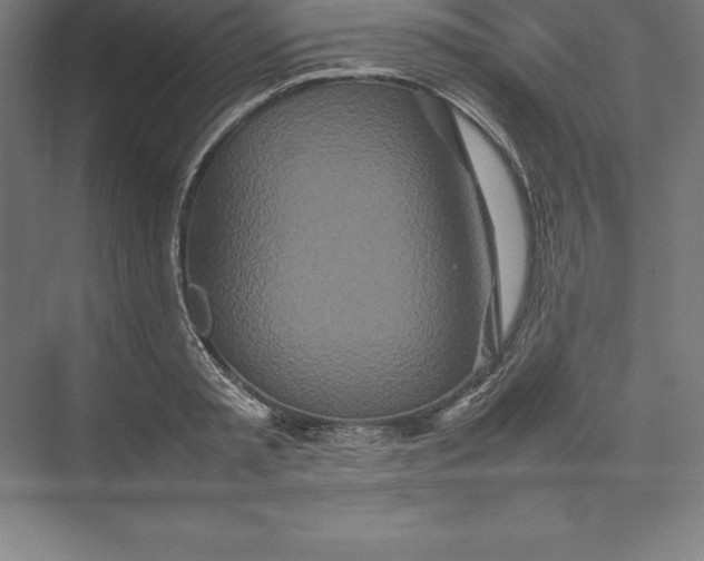 X0000074930797200609221637