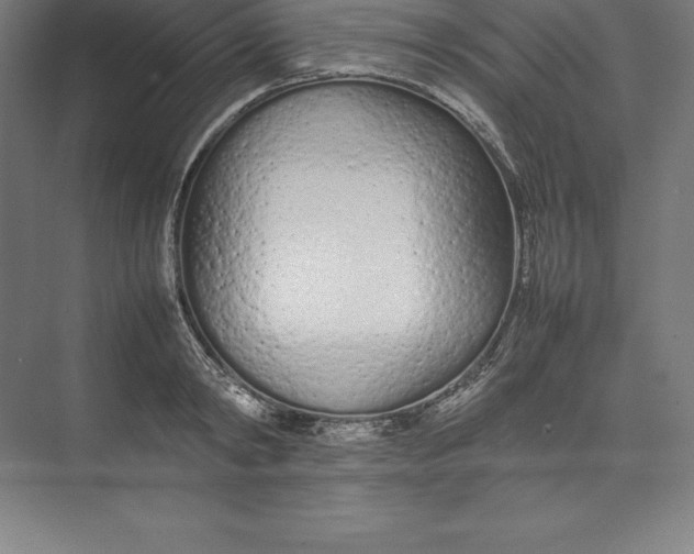 X0000074930798200609221637