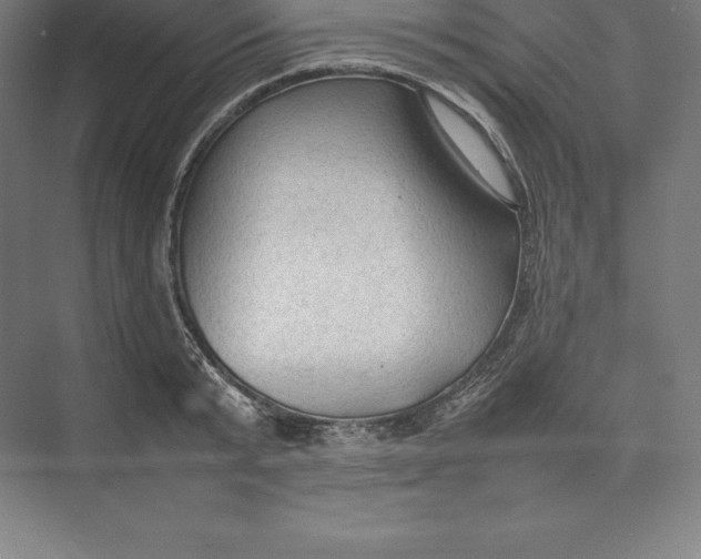 X0000074930799200609221637