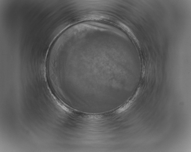 X0000074930802200609221637