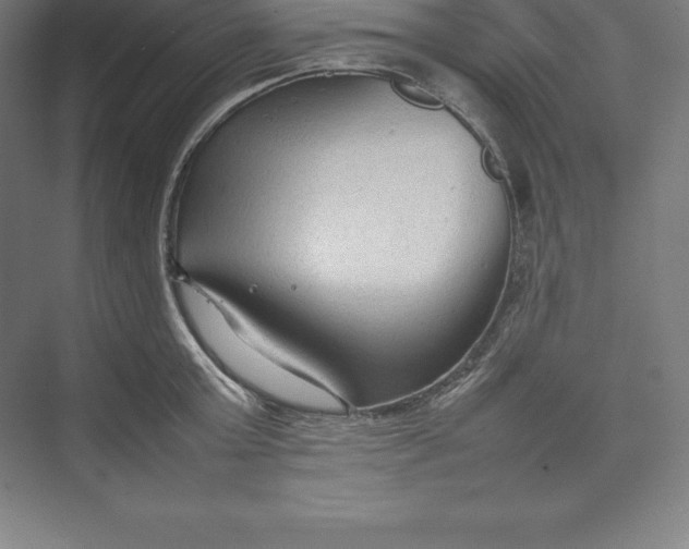 X0000074930803200609221637