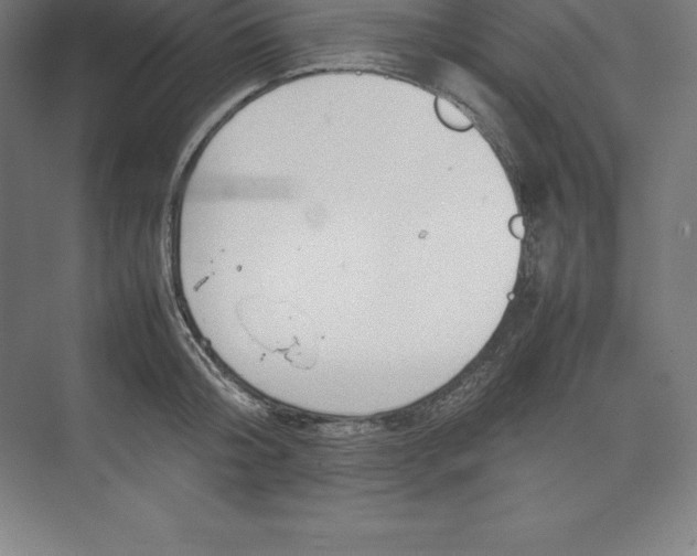 X0000074930804200609221637