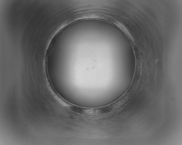 X0000074930805200609221637