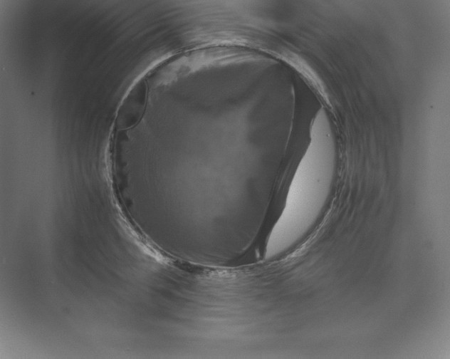 X0000074930806200609221637