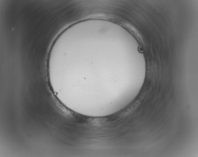 X0000074930808200609221637