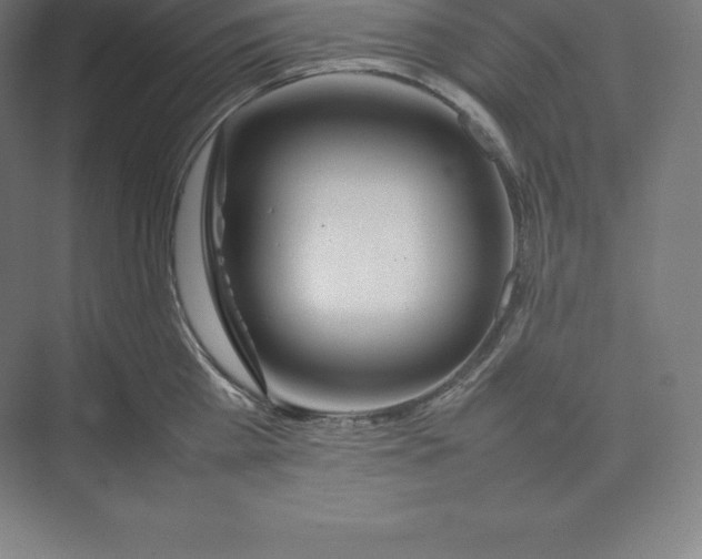 X0000074930809200609221637