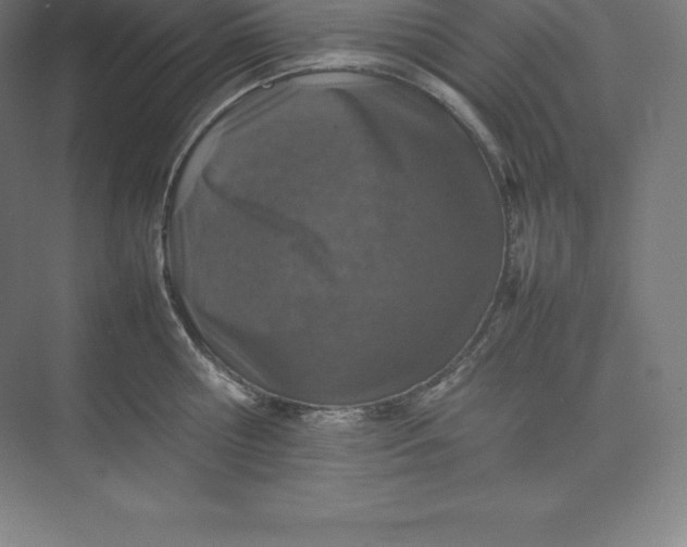 X0000074930810200609221637