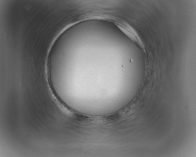 X0000074930811200609221637