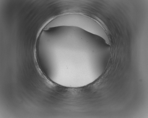 X0000074930812200609221637