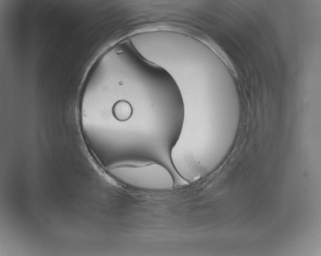 X0000074930813200609221637