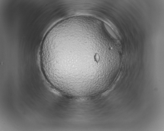 X0000074930814200609221637