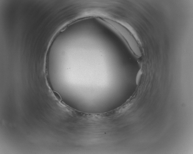 X0000074930815200609221637