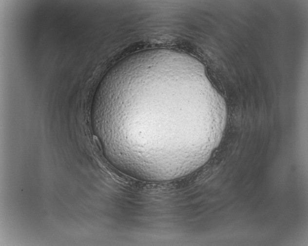 X0000074930817200609221636