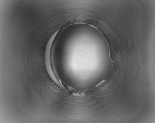 X0000074930818200609221636