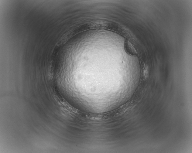 X0000074930819200609221636