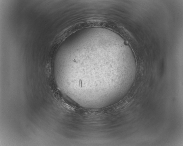 X0000074930821200609221636