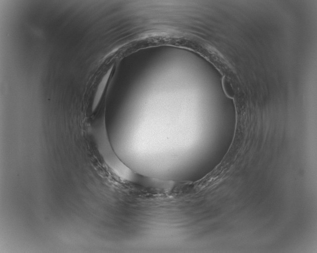 X0000074930822200609221636