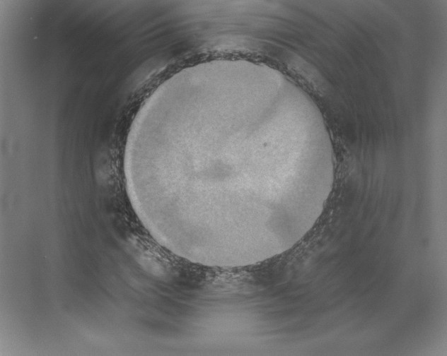 X0000074930824200609221636