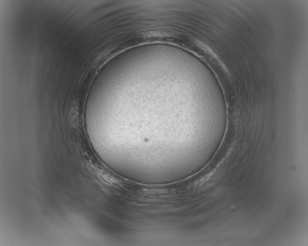 X0000074930825200609221636