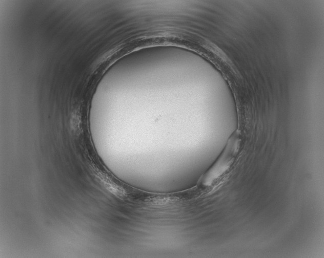 X0000074930826200609221636