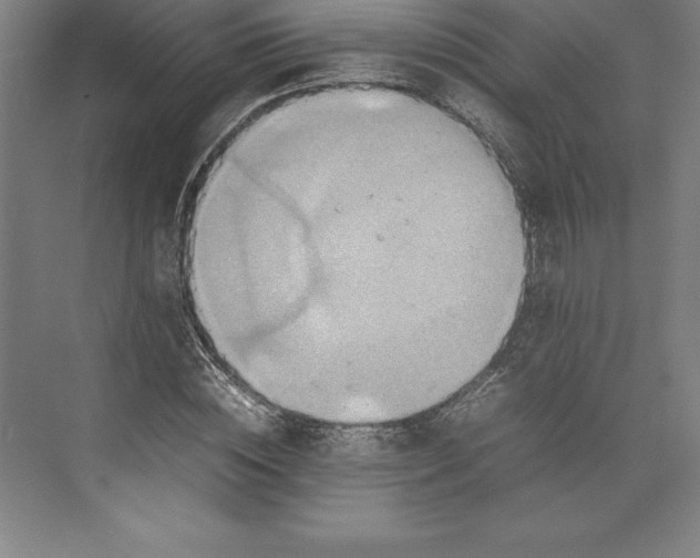 X0000074930828200609221637