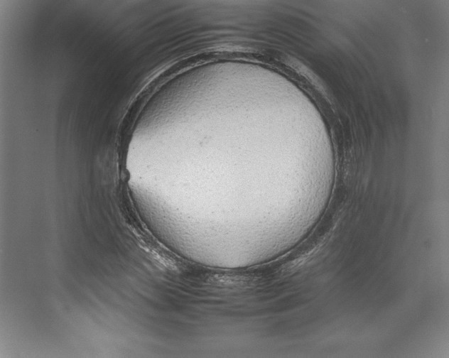 X0000074930829200609221637