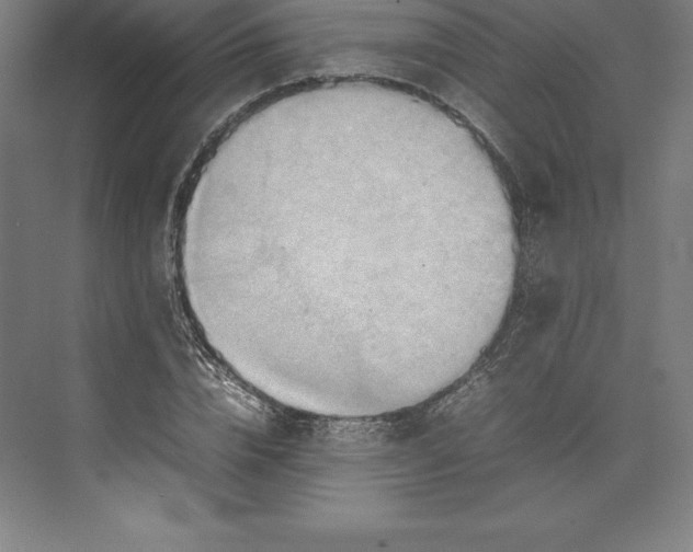 X0000074930832200609221637