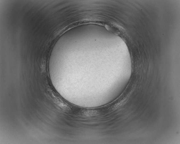 X0000074930833200609221637