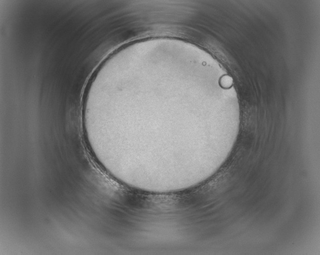 X0000074930836200609221637