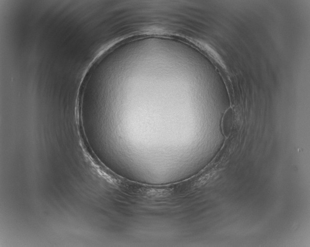 X0000074930839200609221637