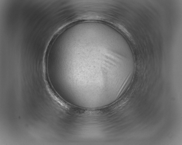 X0000074930840200609221637