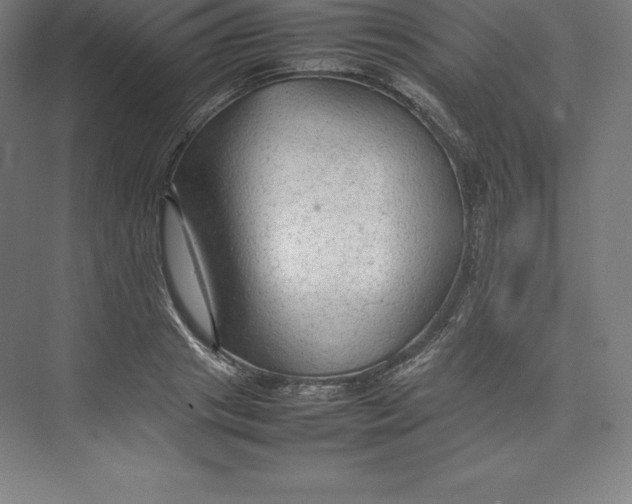 X0000074930841200609221637