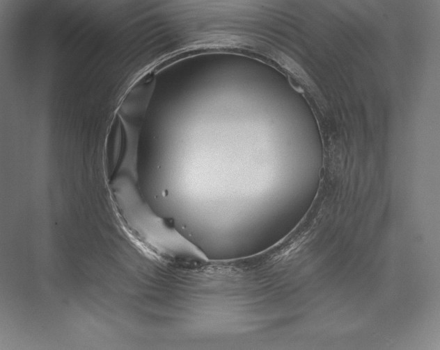 X0000074930842200609221637