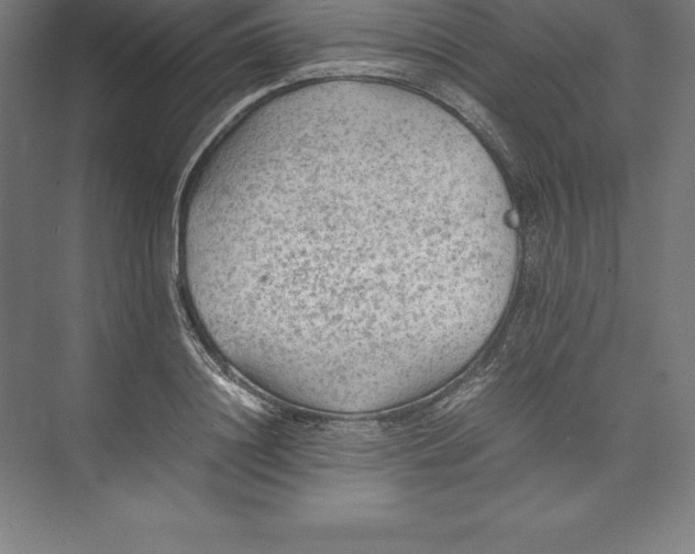 X0000074930844200609221637