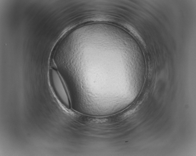 X0000074930845200609221637