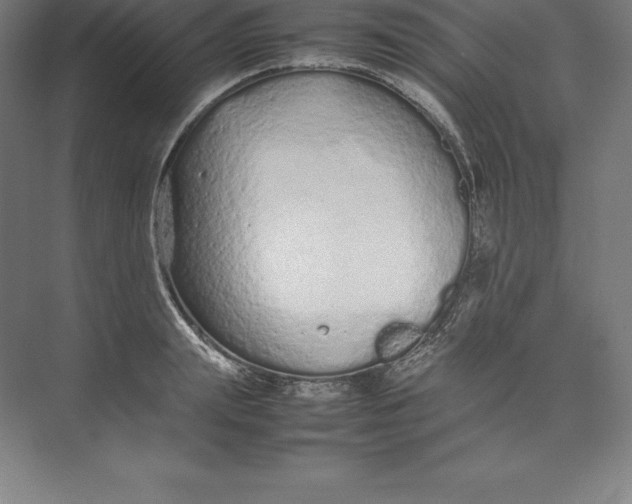 X0000074930847200609221637