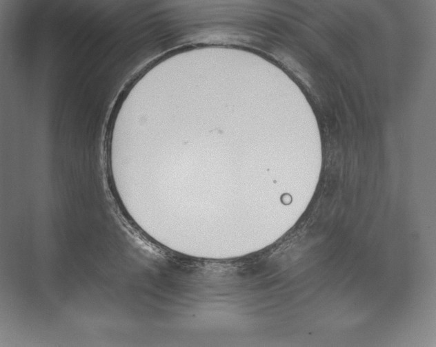 X0000074930848200609221637