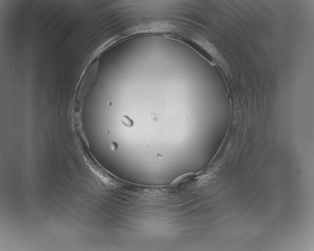 X0000074930850200609221637