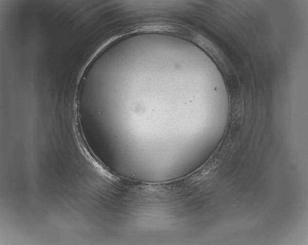 X0000074930852200609221637