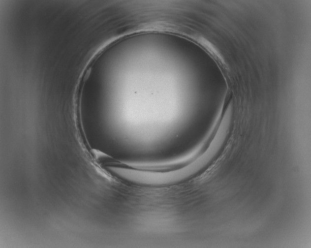 X0000074930854200609221637