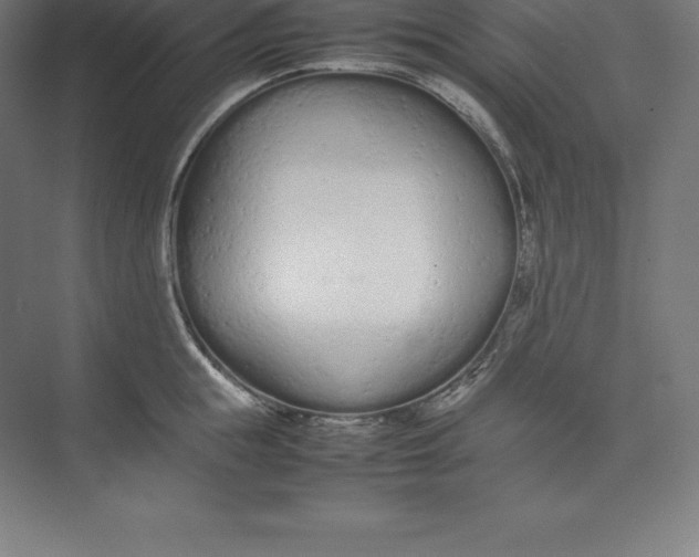 X0000074930855200609221637