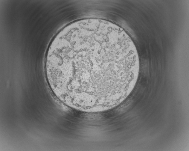 X0000074930856200609221637