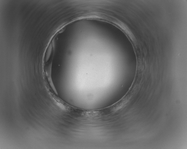 X0000074930858200609221637