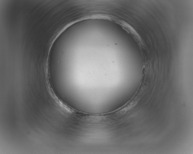 X0000074930860200609221637